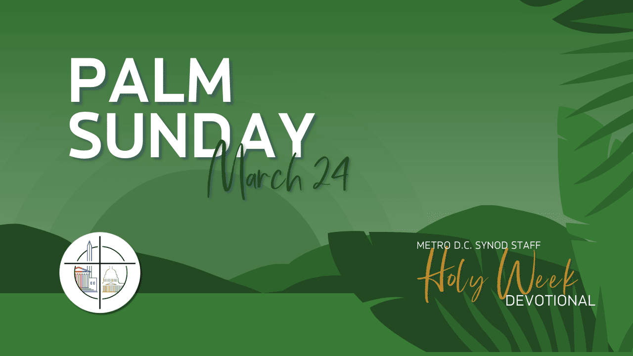 Palm Sunday Devotional by Rev. Jason Shank | Metro DC - ELCA