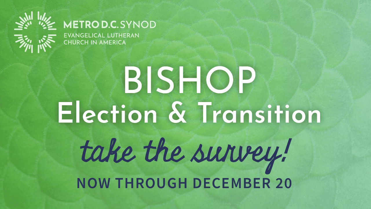 Bishops Transition Survey_16x9